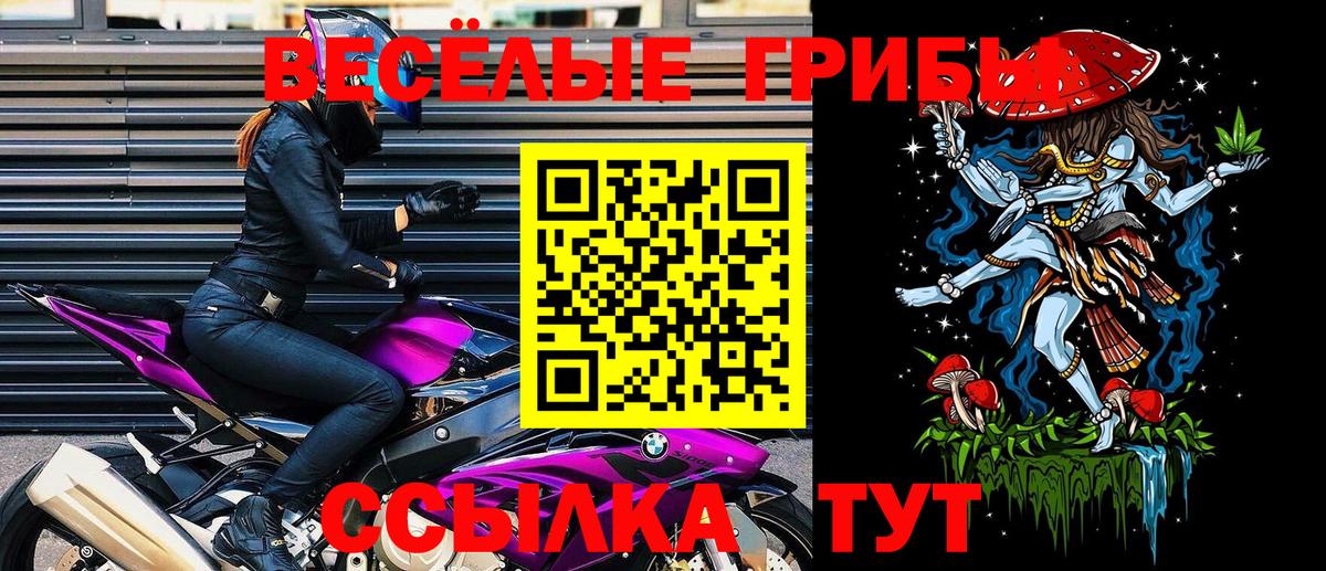 Печора  Псилоцибиновые грибы Cubensis  Вход с VPN  Галлюциногенные грибы Psilocybe 